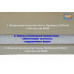 Автогамак Little Dog (Литл Дог) на переднее сиденье. 